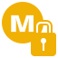 Robust Security Icon